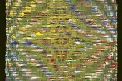 Plastic in the Trees II